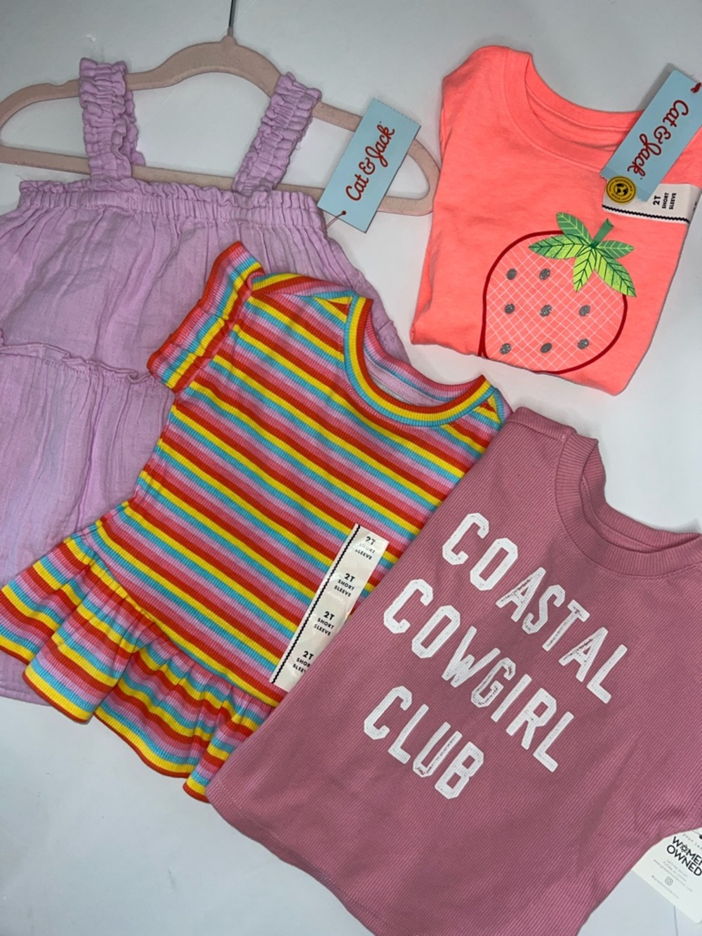 Cat & Jack and Grayson Mini Girls 2T Bundle